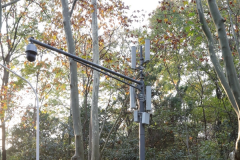 5G新基建如何快速規(guī)模布局？